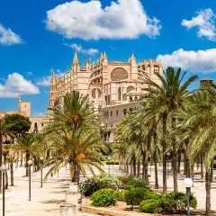 Najlepsze atrakcje i co warto zobaczyć na Palma de Majorka