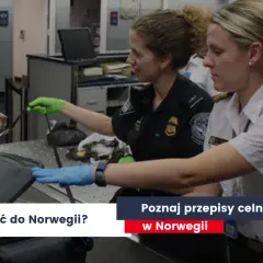 Co można przewieźć w bagażu podręcznym do Norwegii? Ważne zasady