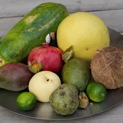 Talerz z owocami: papaja, mango, granat, pomelo, awokado, kokos, gruszka, limonki, custard apple i miechunka. Zastanawiasz się, czy można przewozić owoce w bagażu podręcznym?
