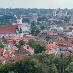 Najlepsze pamiątki i smakołyki, które warto przywieźć z Wilna - Poradnik 2024
