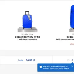 Czy można przewozić jedzenie w bagażu podręcznym Ryanair? Oto zasady