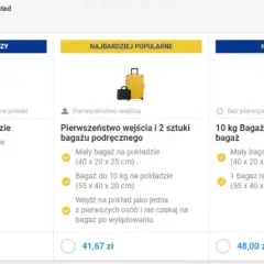 Jaki bagaż podręczny w Ryanair? Uniknij problemów na lotnisku