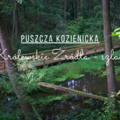 Odkryj atrakcje w okolicach Warszawy: Co warto zobaczyć w pobliżu stolicy