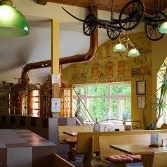 Harrachov gdzie zjeść: najlepsze restauracje i lokalne smaki