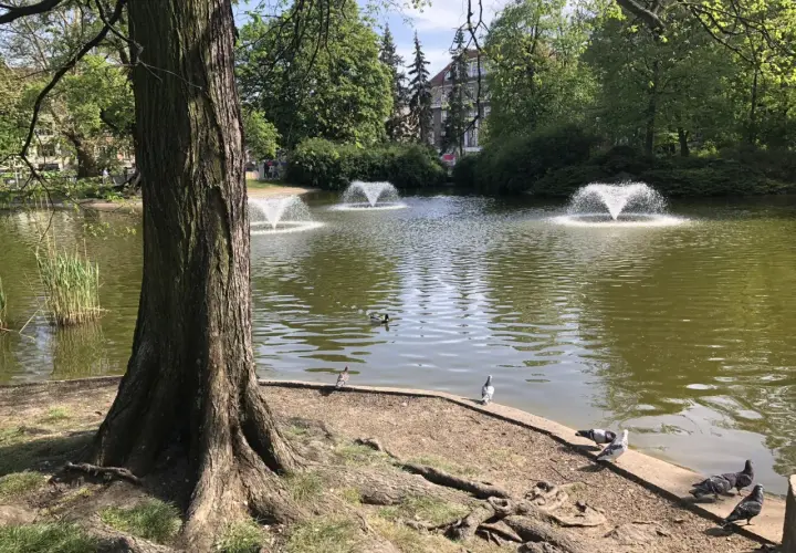 Poznań: Najlepsze miejsca na spacer i zwiedzanie po mieście