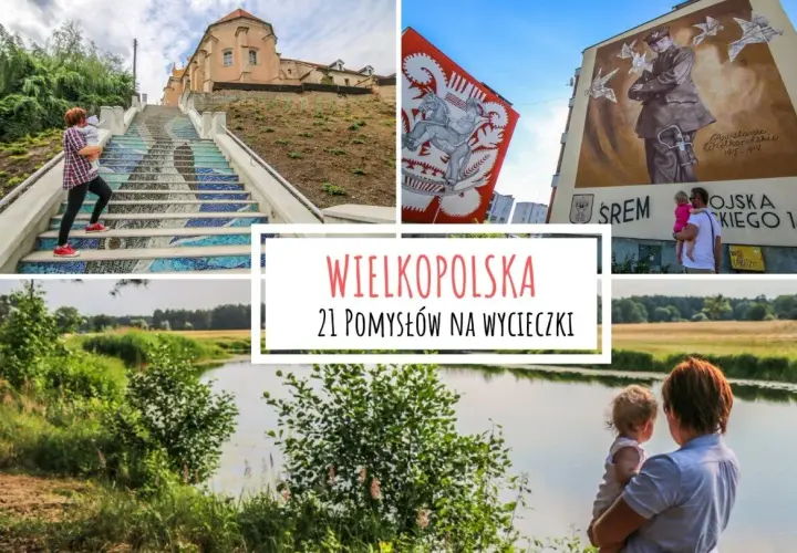 Wielkopolska w pigułce: Forum i przewodnik po najciekawszych miejscach regionu