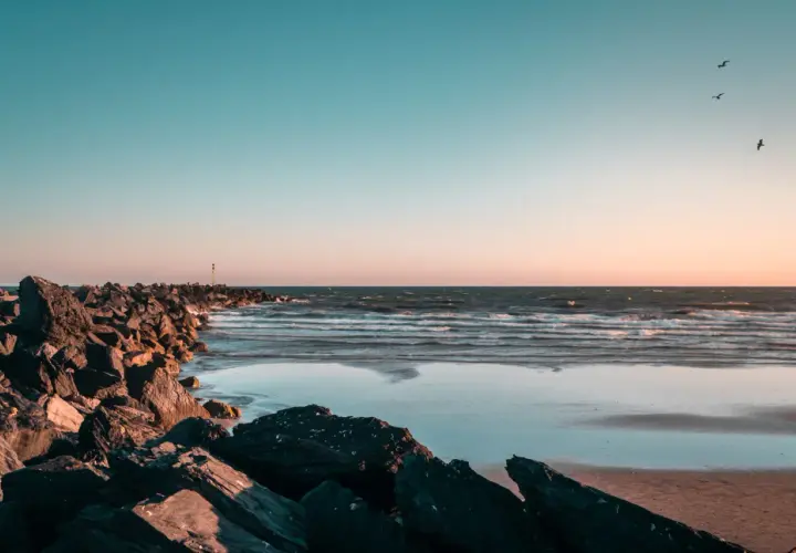 Kamienista plaża, fale i mewy na tle zachodzącego słońca. Idealne miejsce, kiedy jod nad morzem.