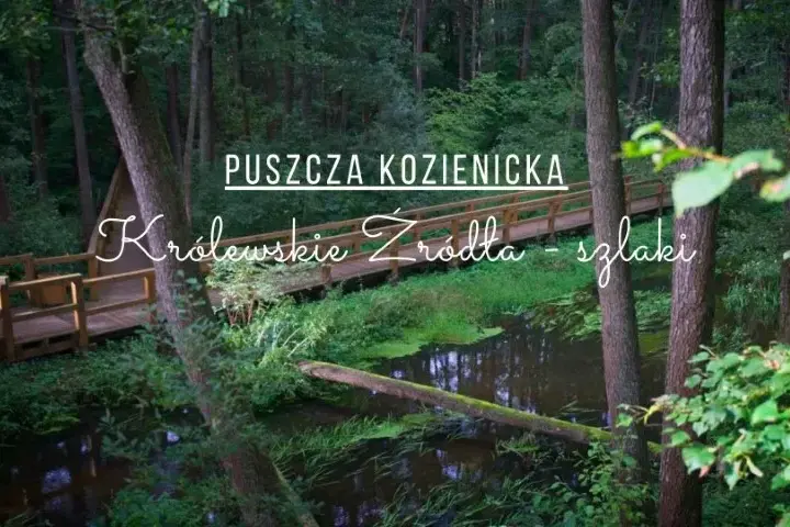 Odkryj atrakcje w okolicach Warszawy: Co warto zobaczyć w pobliżu stolicy