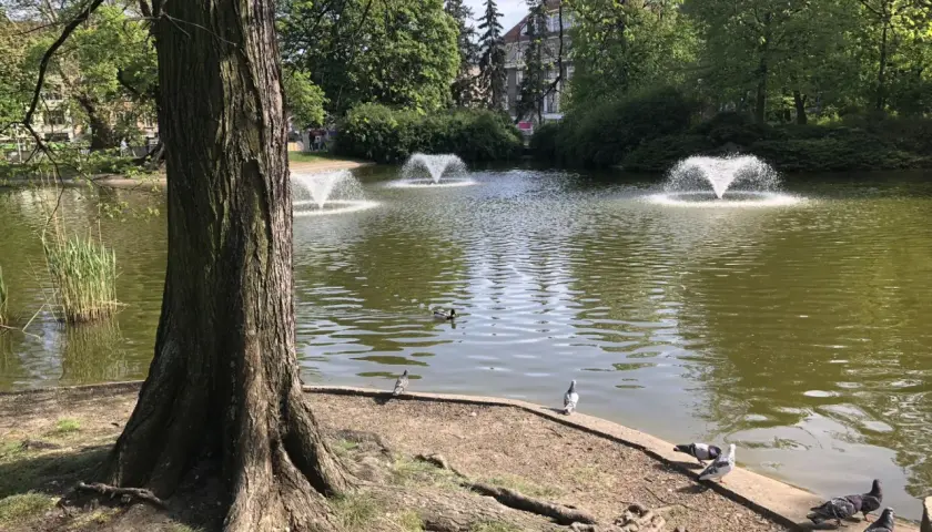 Poznań: Najlepsze miejsca na spacer i zwiedzanie po mieście