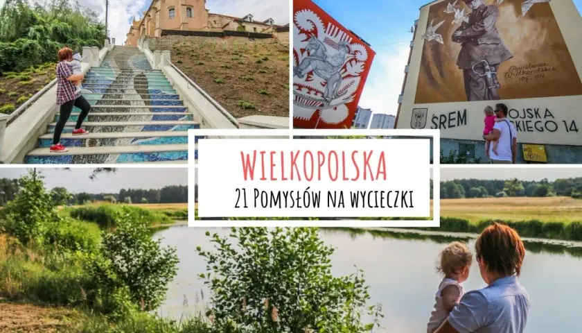 Wielkopolska w pigułce: Forum i przewodnik po najciekawszych miejscach regionu