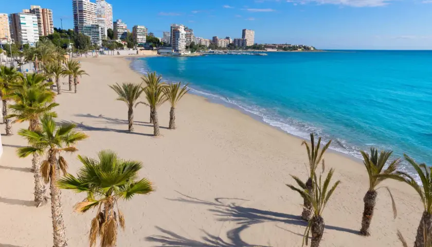 Piękna plaża z palmami i turkusowym morzem. Idealne miejsce na wakacje, pomyśl o lotach Warszawa-Alicante!