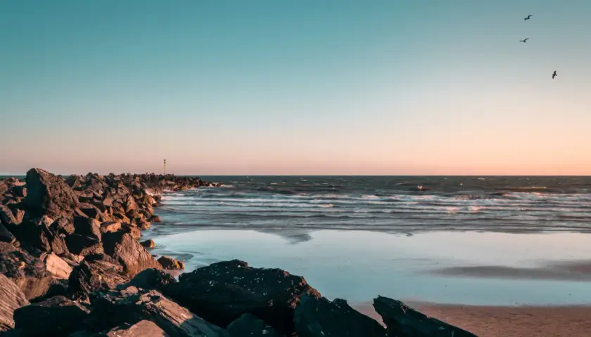 Kamienista plaża, fale i mewy na tle zachodzącego słońca. Idealne miejsce, kiedy jod nad morzem.