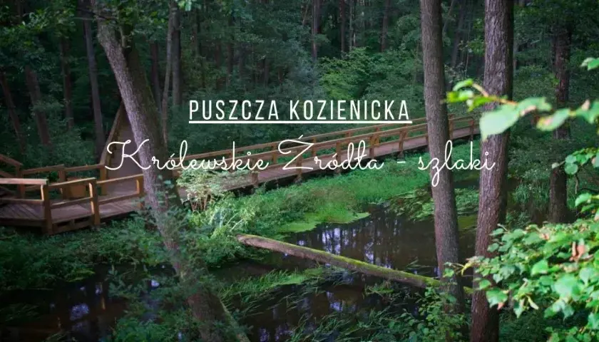 Odkryj atrakcje w okolicach Warszawy: Co warto zobaczyć w pobliżu stolicy
