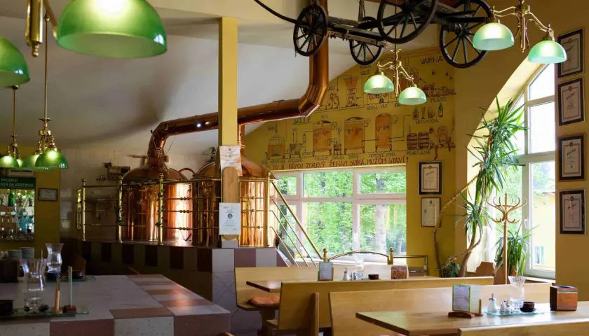 Harrachov gdzie zjeść: najlepsze restauracje i lokalne smaki