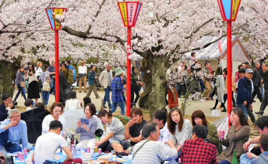 Japonia latem: Upały, deszcze, tajfuny czy festiwale? Twoja decyzja.
