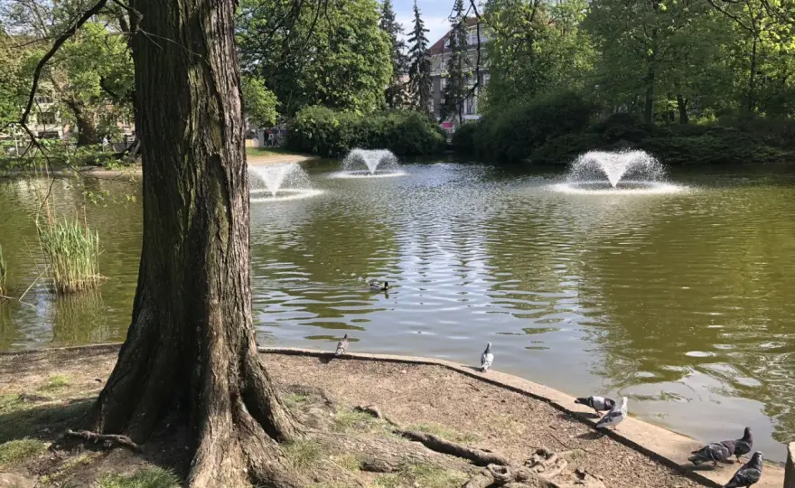 Poznań: Najlepsze miejsca na spacer i zwiedzanie po mieście
