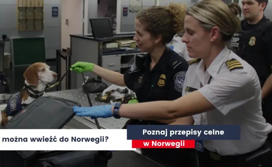 Co można przewieźć w bagażu podręcznym do Norwegii? Ważne zasady