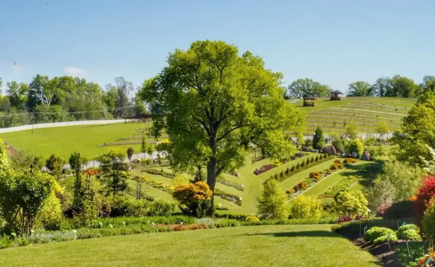 Najlepszy czas na wizytę w Arboretum Wojsławice – uniknij rozczarowania i zaplanuj idealną wycieczkę