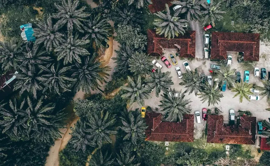 Madera z polską ofertą noclegową: Gdzie się zatrzymać podczas pobytu na wyspie