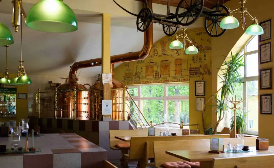 Harrachov gdzie zjeść: najlepsze restauracje i lokalne smaki
