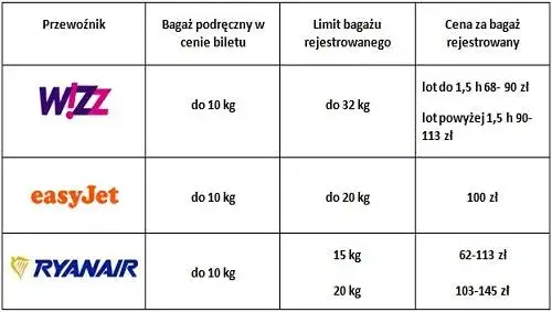 Zdjęcie Ile kosztuje bagaż rejestrowany? Sprawdź ceny w liniach lotniczych