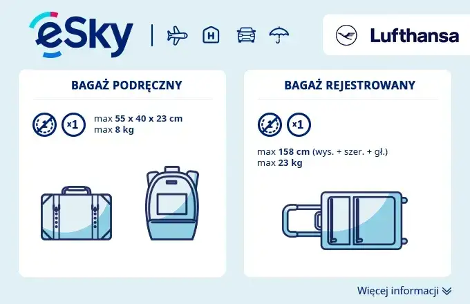 Zdjęcie Lufthansa bagaż rejestrowany - co możesz zabrać i czego unikać