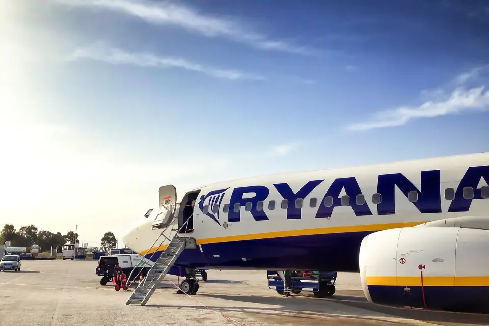 Ryanair: Czy przewieziesz zwierzę? Wyjątki i zasady